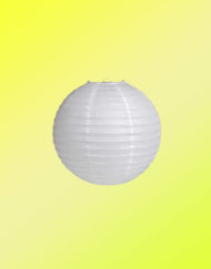 White Paper Lantern-DIY