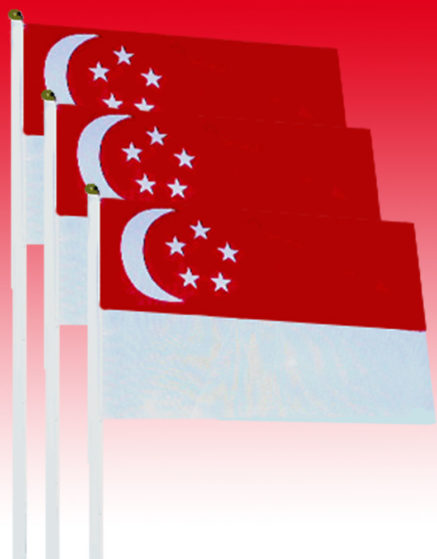 Singapore Mini Waving Flag