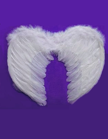 White Feather Angel Wing